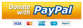 paypal 02